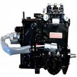 729121 51479 Yanmar Fuel Injection Pump 